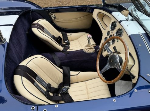 DAX COBRA INTERIOR 2