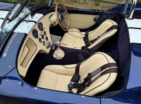 DAX COBRA INTERIOR