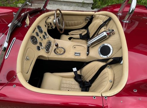 INTERIOR COBRA 1