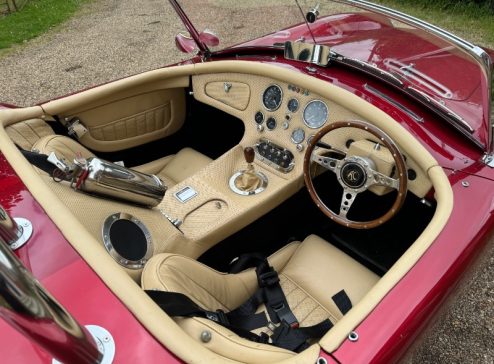 INTERIOR COBRA 3