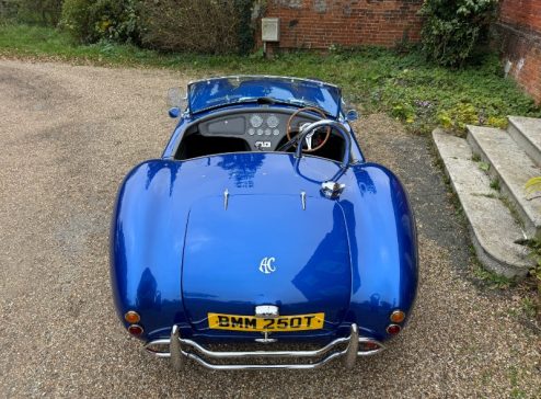 SHELBY BLUE COBRA